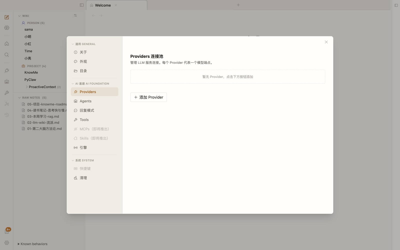 Providers 列表,显示已配置的 provider 卡片